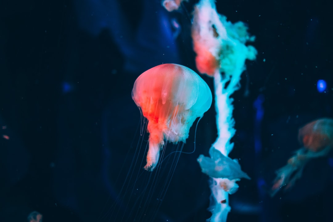 10 wichtige Fragen zu Aquarium Fehmarn Preise