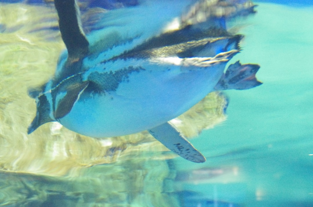 12 wichtige Fragen zu Zoo Leipzig Aquarium Wiedereröffnung