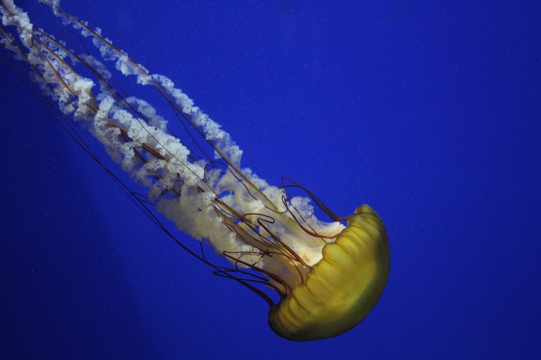 12 wichtige Fragen zu Vollentsalzung Aquarium