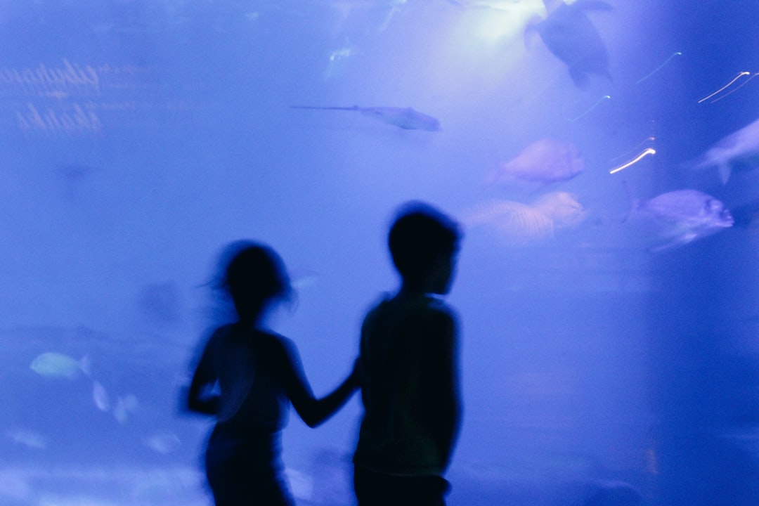 12 wichtige Fragen zu Aquarium Ph Wert Erhöhen