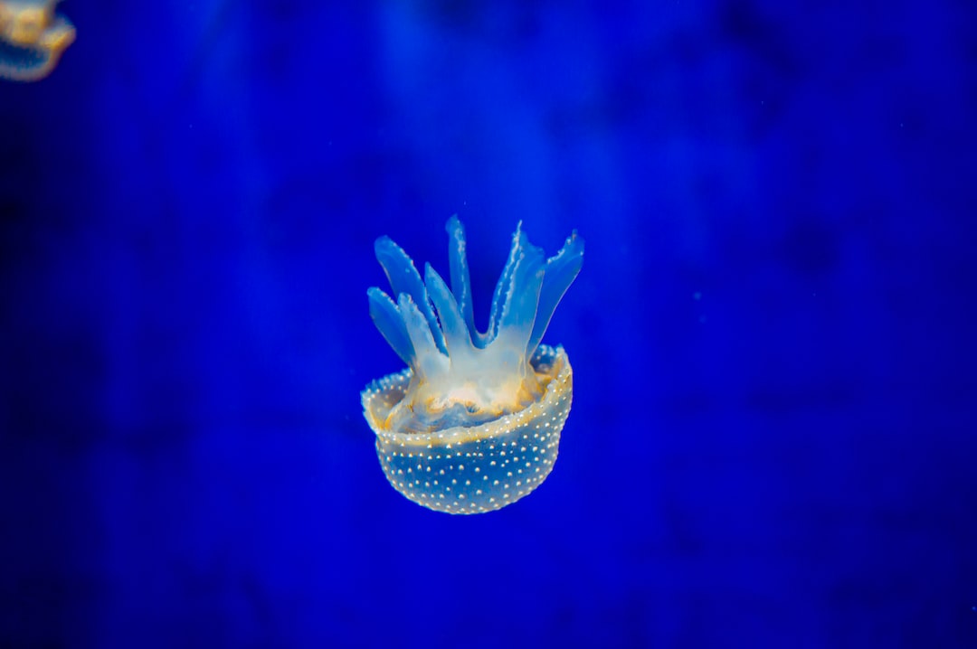 13 wichtige Fragen zu Aquarium Entsorgung