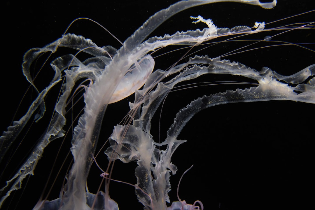 14 wichtige Fragen zu Glockentierchen Aquarium