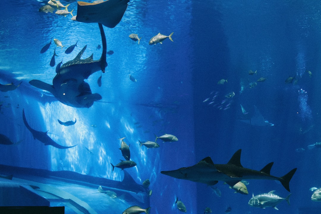 14 wichtige Fragen zu Technikbecken Aquarium