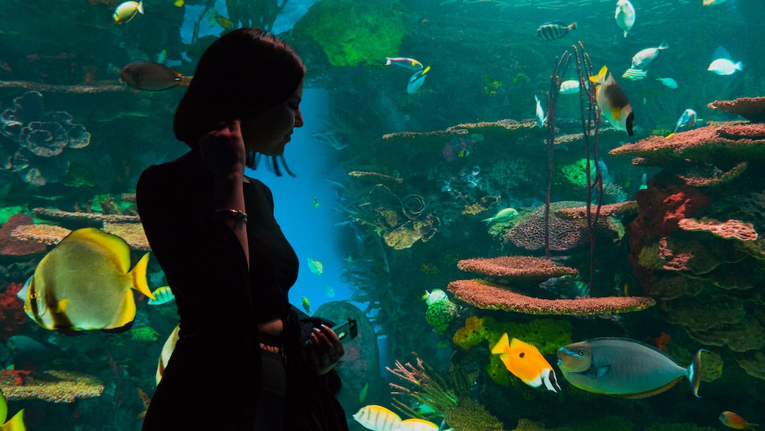 15 wichtige Fragen zu How Do You Stick Background To A Fish Tank?