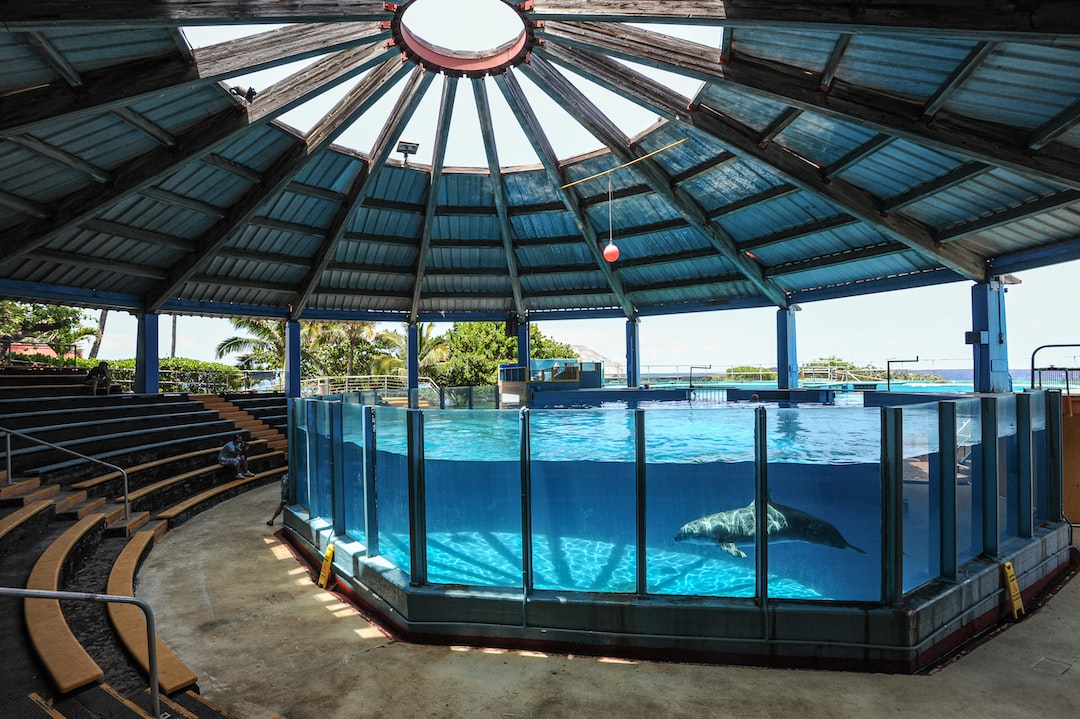 15 wichtige Fragen zu Aquarium Unterschrank 120x50 Selber Bauen