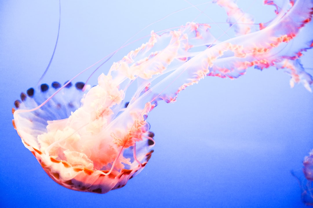 15 wichtige Fragen zu Aquarium Starter Set