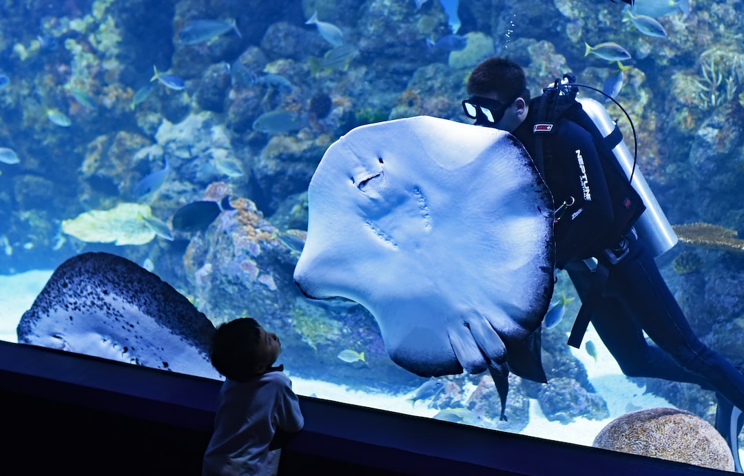 15 wichtige Fragen zu Detritus Aquarium
