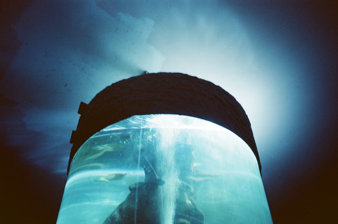 15 Wichtige Informationen zu Bonsai Aquarium