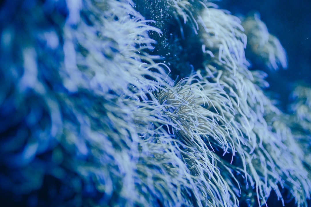 15 wichtige Fragen zu Aquarium Rucksackfilter