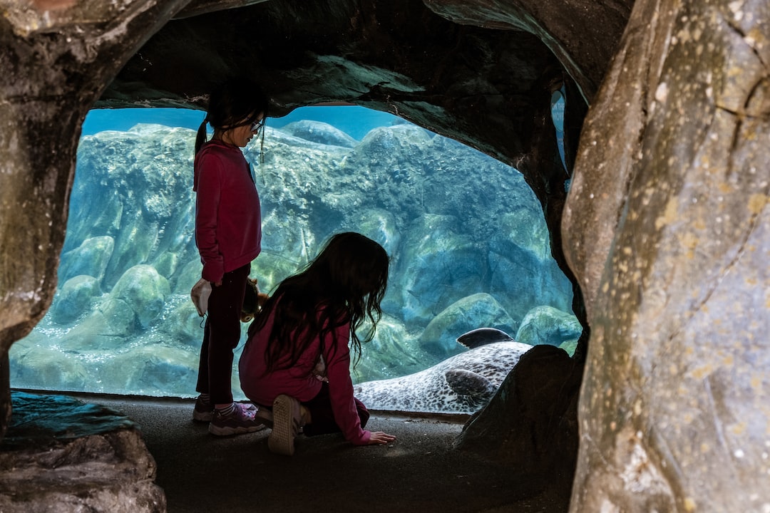 16 wichtige Fragen zu 800 Liter Aquarium