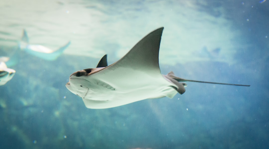 16 wichtige Fragen zu Schimmel Im Aquarium