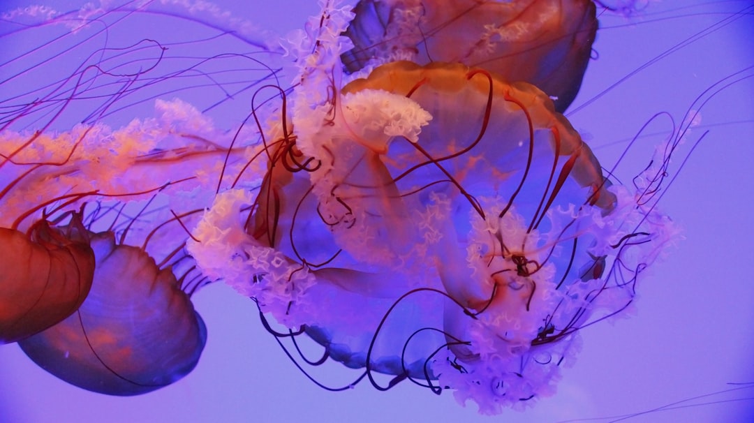 18 wichtige Fragen zu Aquarium Reinigungsset