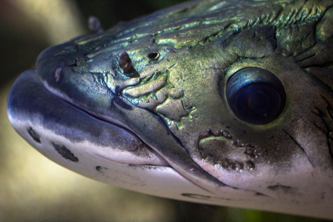 18 wichtige Fragen zu Aquarium Schläuche