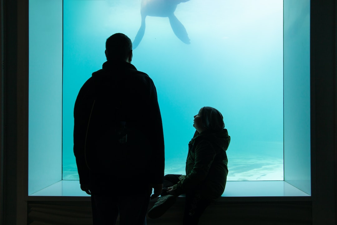 18 wichtige Fragen zu What Is The Difference Between Dubai Aquarium And Underwater Zoo?