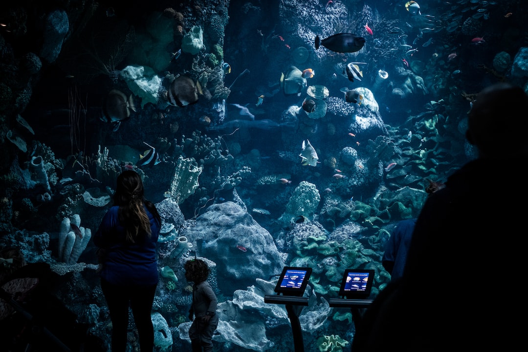 18 wichtige Fragen zu Aquarium Kh Erhöhen