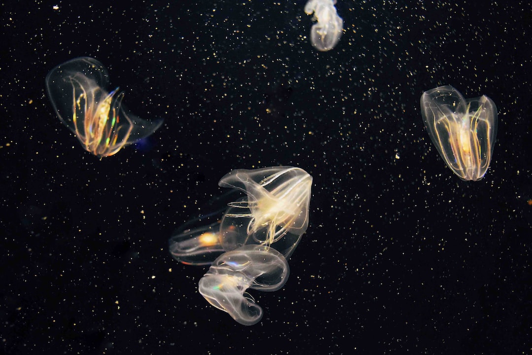 18 wichtige Fragen zu Aquarium Filter Material