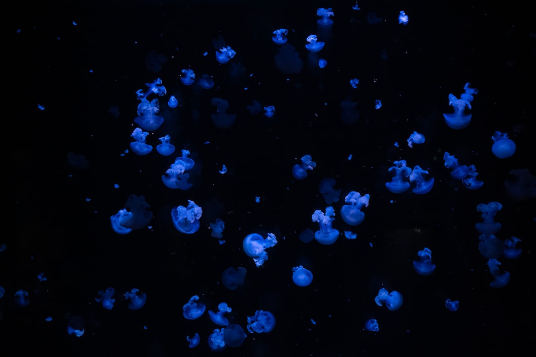 18 wichtige Fragen zu Was Hilft Gegen Darmflagellaten?