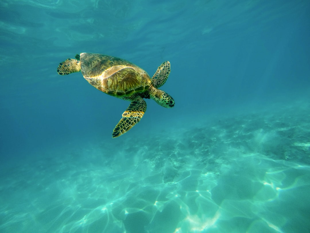 19 wichtige Fragen zu Aquarium Unterschrank Fressnapf