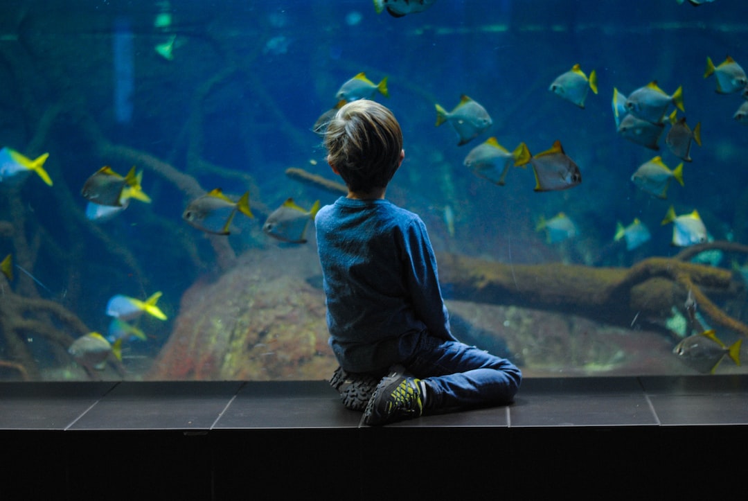 19 wichtige Fragen zu Barsch Fisch Aquarium