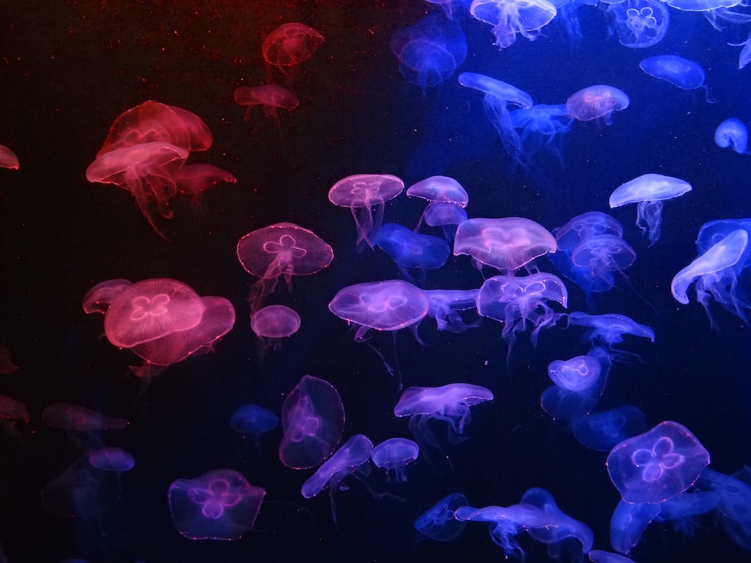 19 wichtige Fragen zu Why Have An Aquarium Sump?