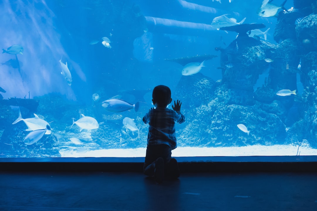 19 Bemerkenswerte Hinweise zu Aquarium Säulen