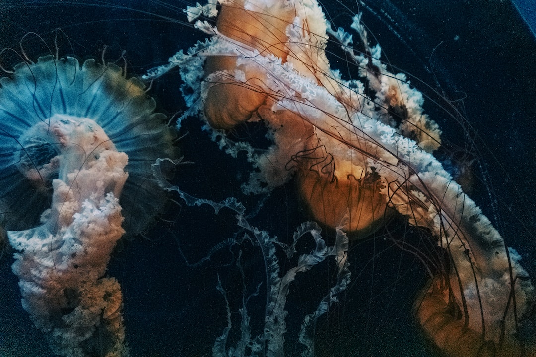 19 wichtige Fragen zu Braune Algen Im Aquarium
