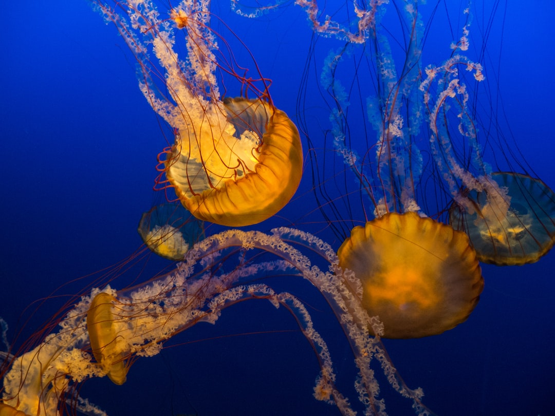 19 wichtige Fragen zu Großes Aquarium