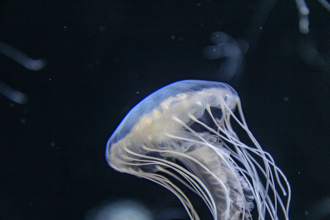 19 Bemerkenswerte Infos zu Nitrit Aquarium