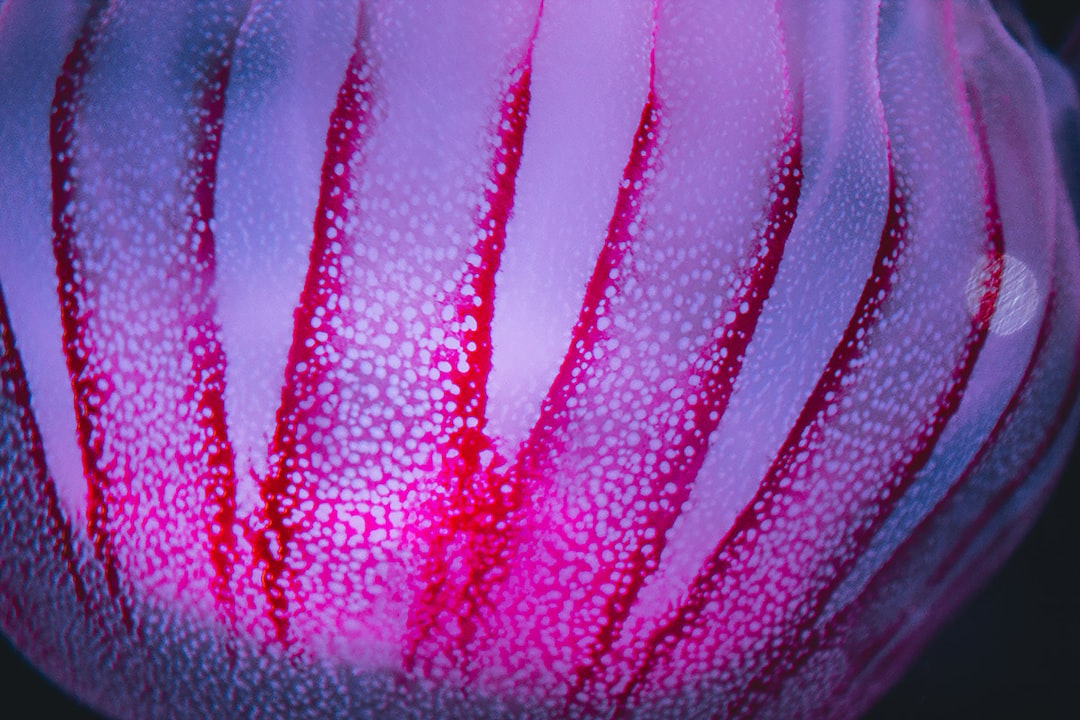 19 wichtige Fragen zu Aquarium Nur Mit Pflanzen