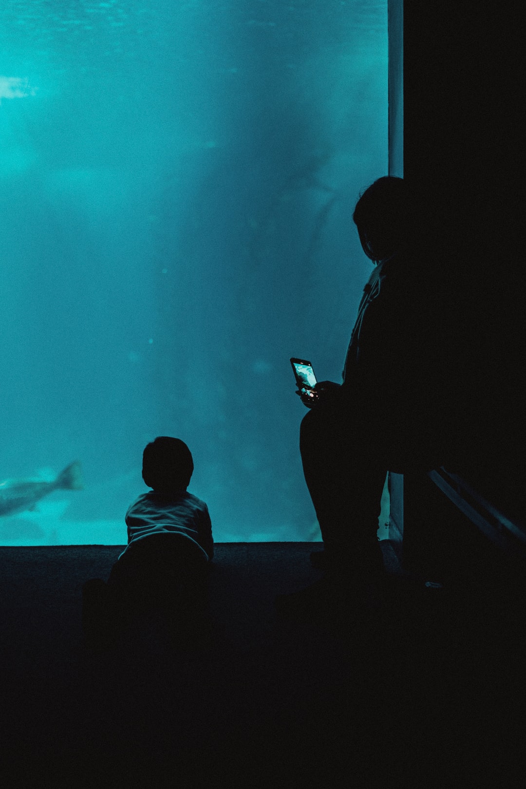19 wichtige Fragen zu 10000 Liter Aquarium
