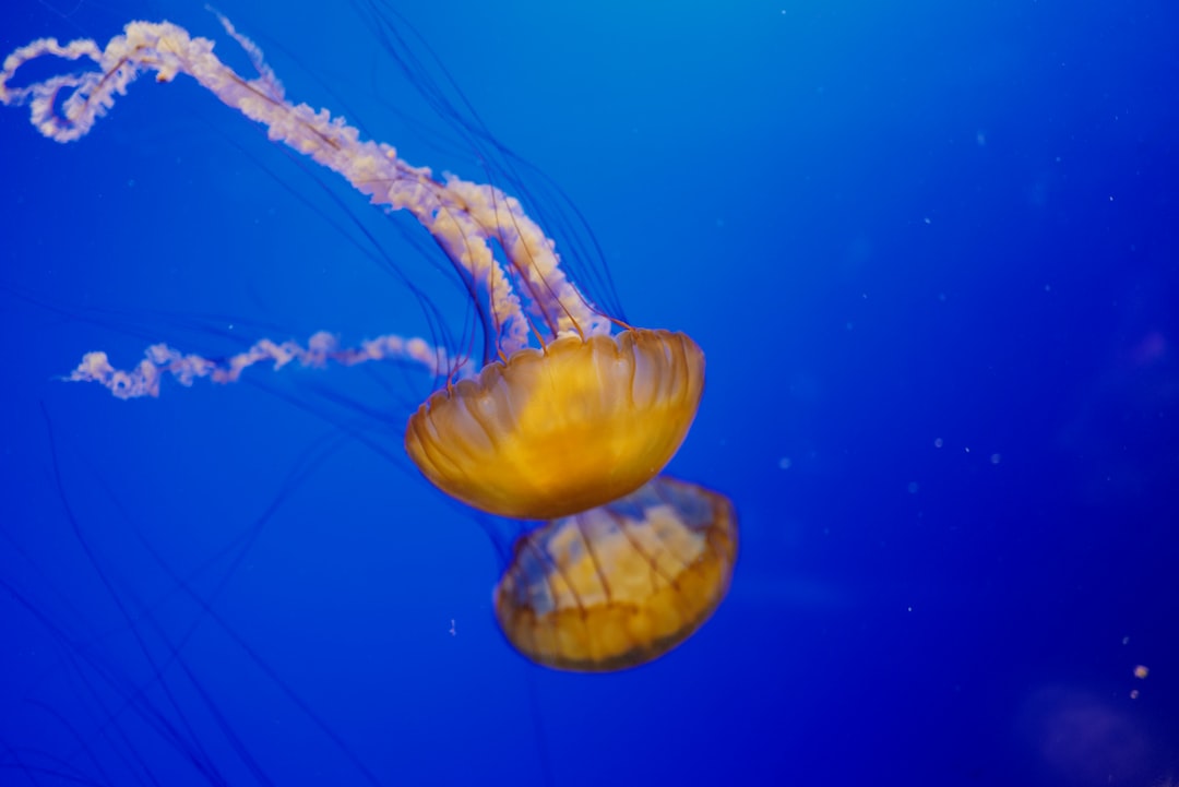 19 wichtige Fragen zu Aquarium Nitritpeak