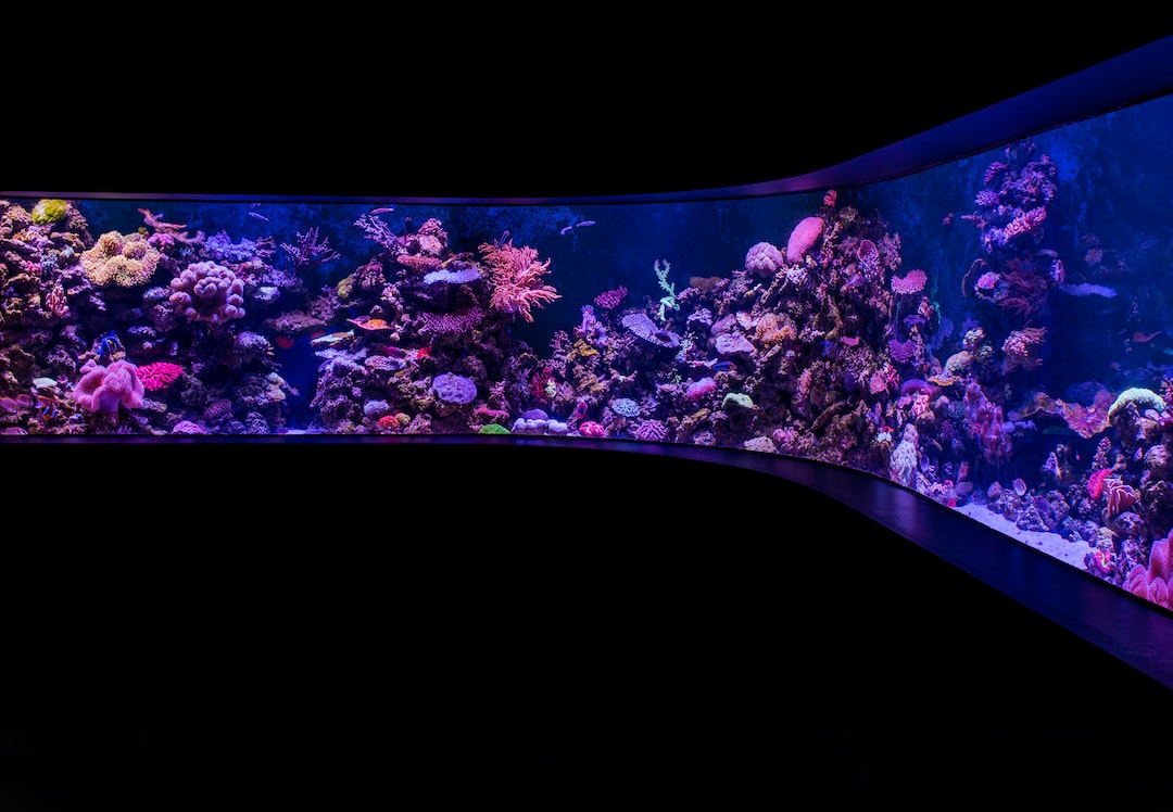 19 wichtige Fragen zu Aquarium Belüftung