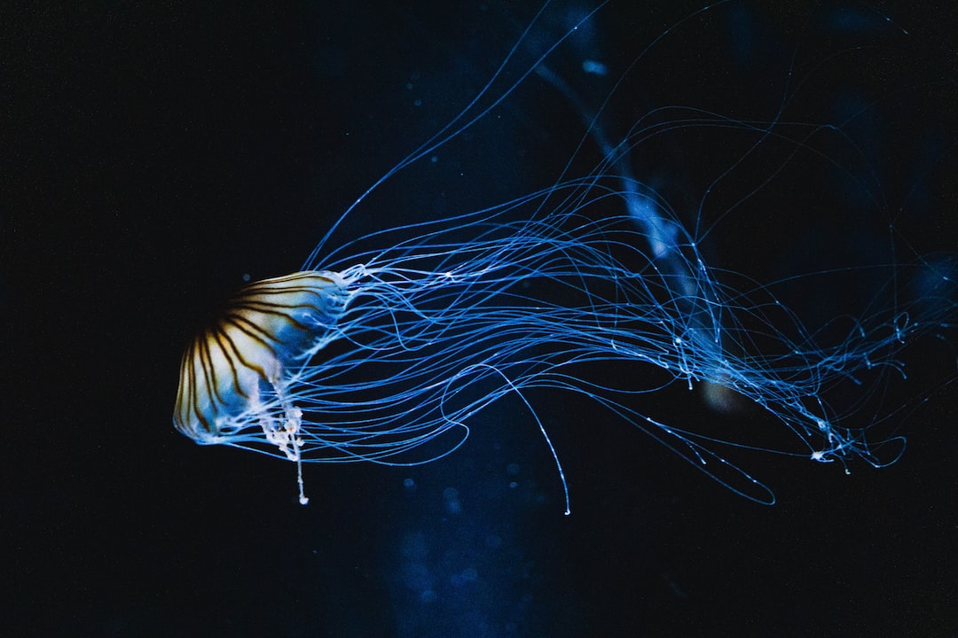 19 wichtige Fragen zu Seewasser Aquarium
