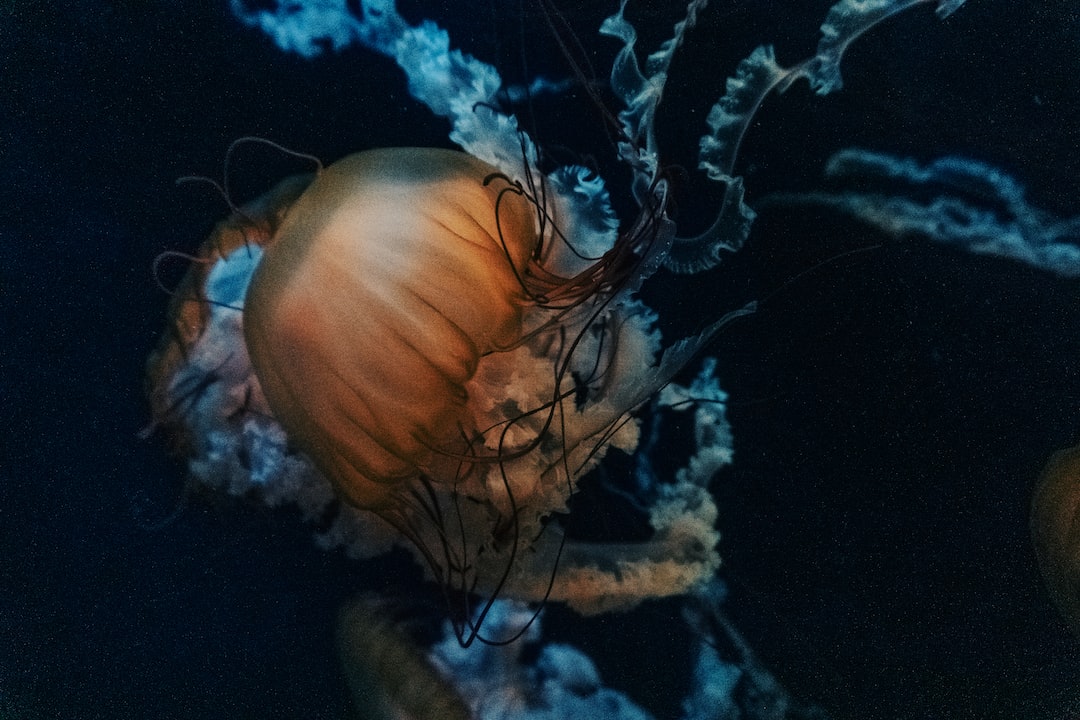 19 wichtige Fragen zu Aquarium Sondermaß
