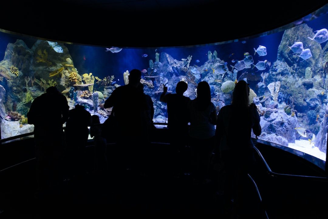 19 wichtige Fragen zu Aquarium Fisch Barsch