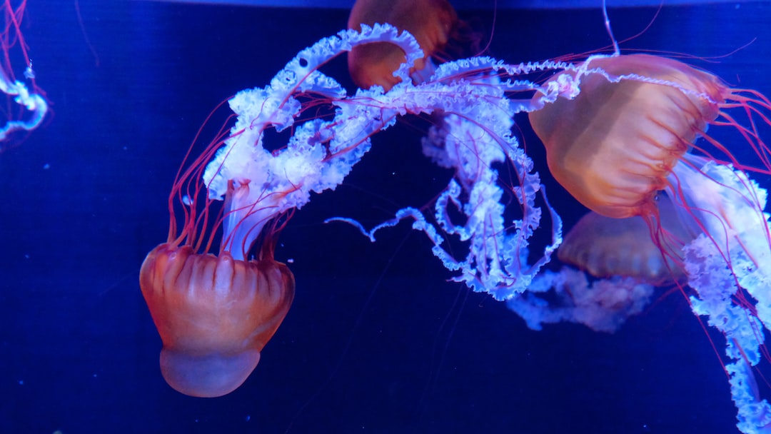 19 wichtige Fragen zu Aquarium Wasserwechsel Tricks