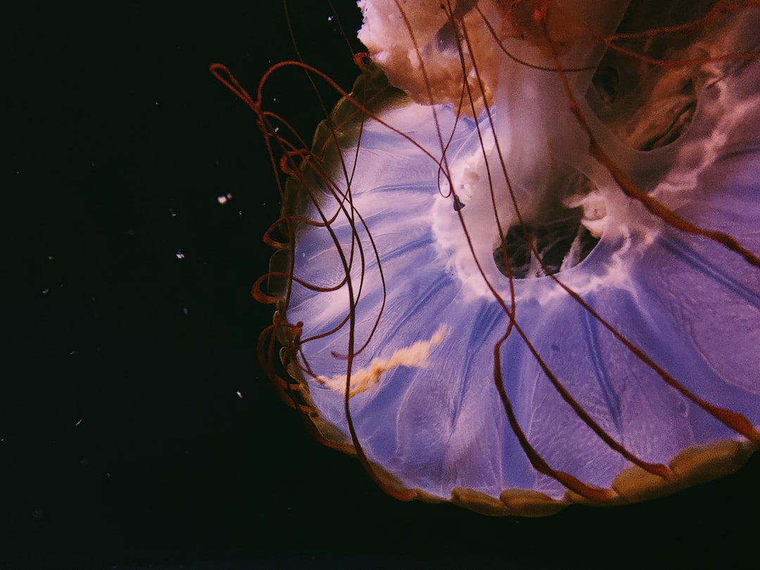 19 wichtige Fragen zu Toughened Glass Aquarium