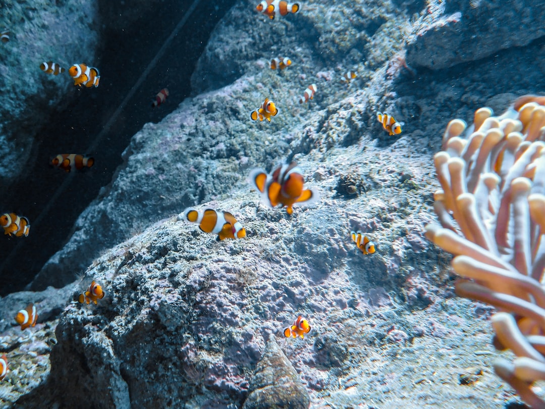 19 Informative Hinweise zu Aquarium Led Leuchte