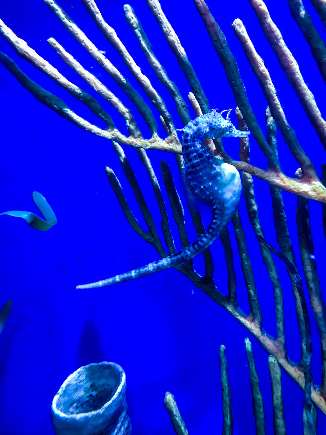 19 Interessante Daten zu Aquarium Reinigen