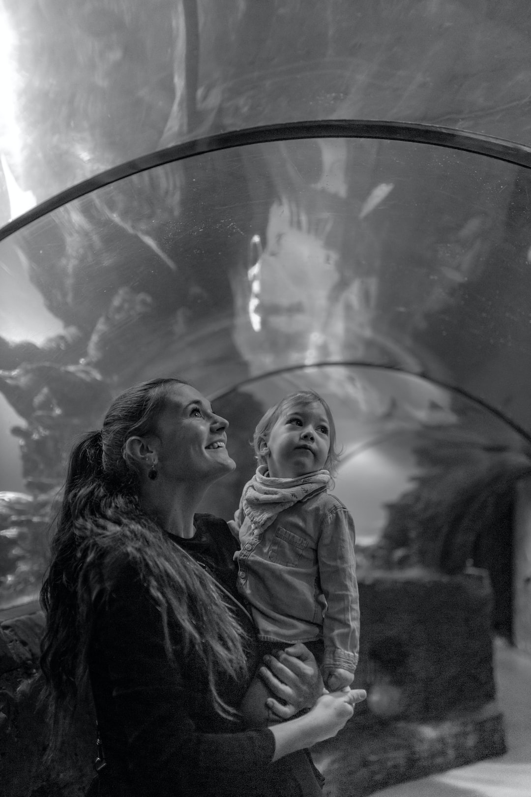19 wichtige Fragen zu Aquarium Dekorieren Ideen