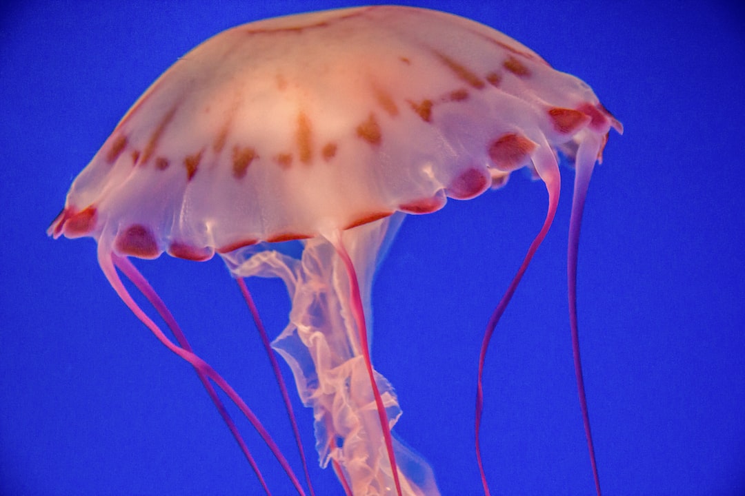 19 wichtige Fragen zu Aquarium Krabbe