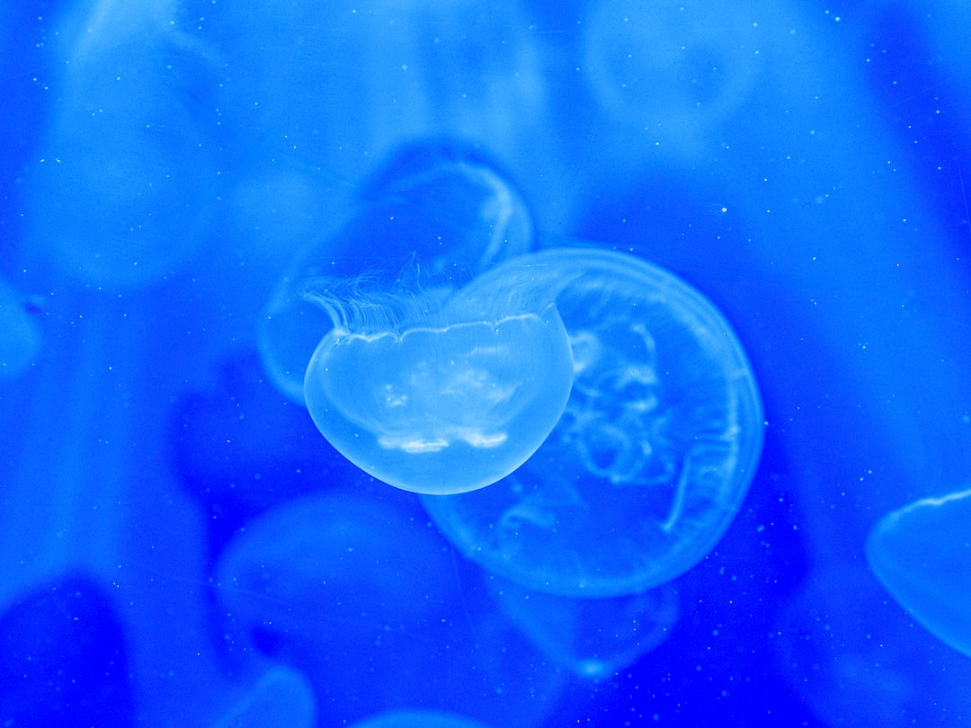 19 wichtige Fragen zu Juwel Aquarium Beleuchtung