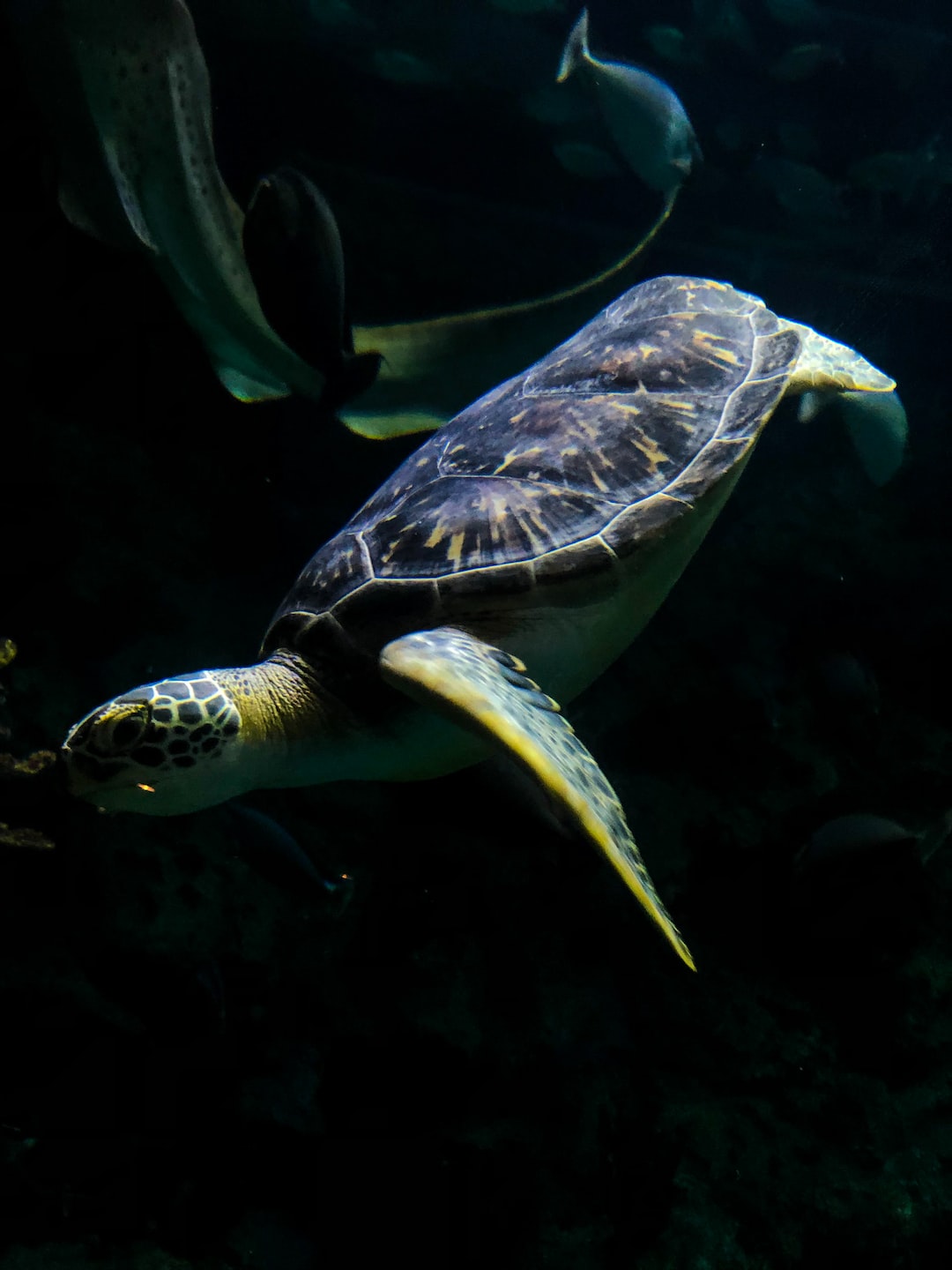 19 wichtige Fragen zu Kölner Aquarium