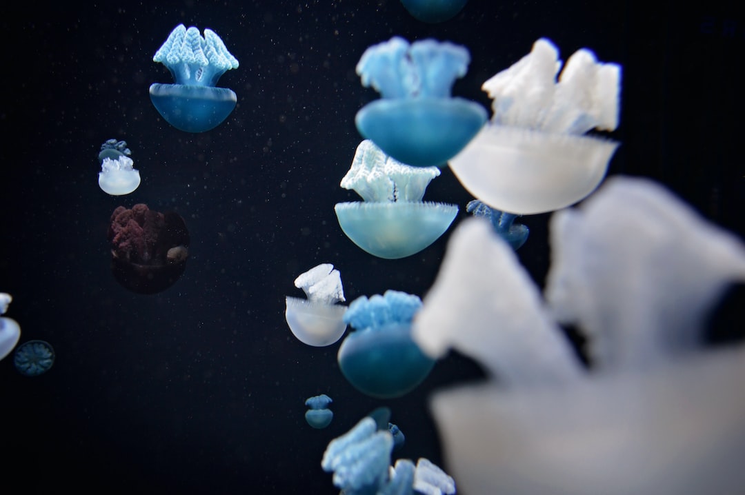 19 wichtige Fragen zu Größtes Aquarium Der Welt