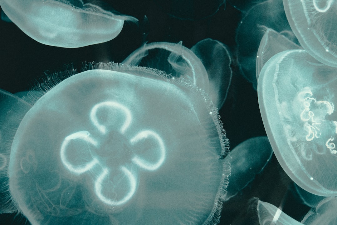 19 wichtige Fragen zu Aquarium Kunststoff