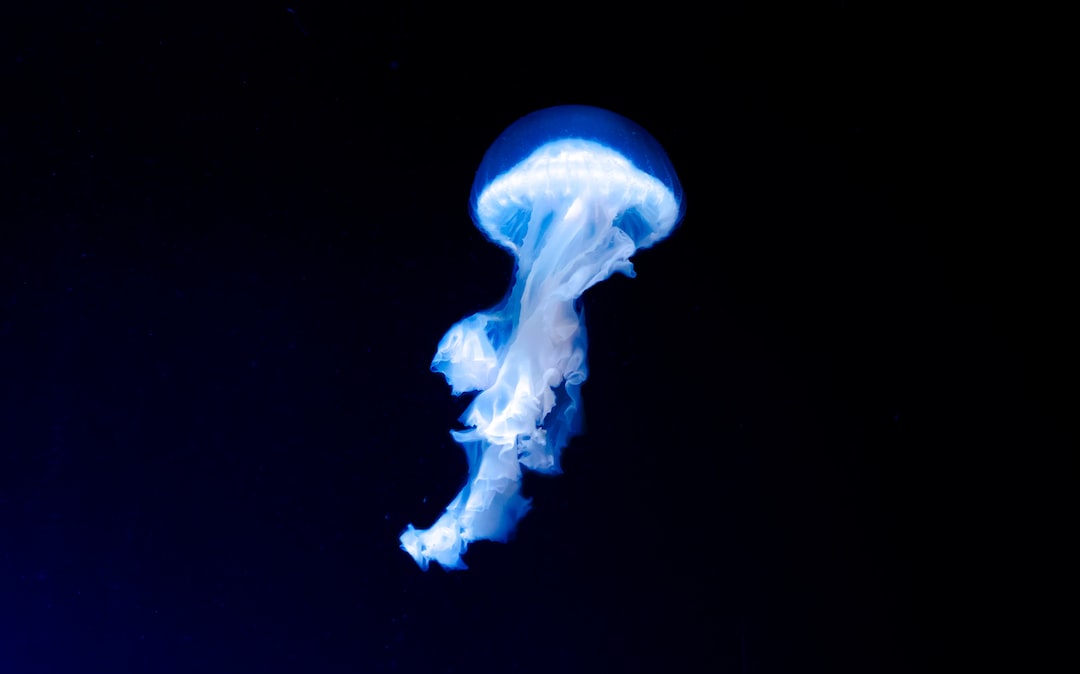 20 wichtige Fragen zu Kahmhaut Aquarium Schlimm