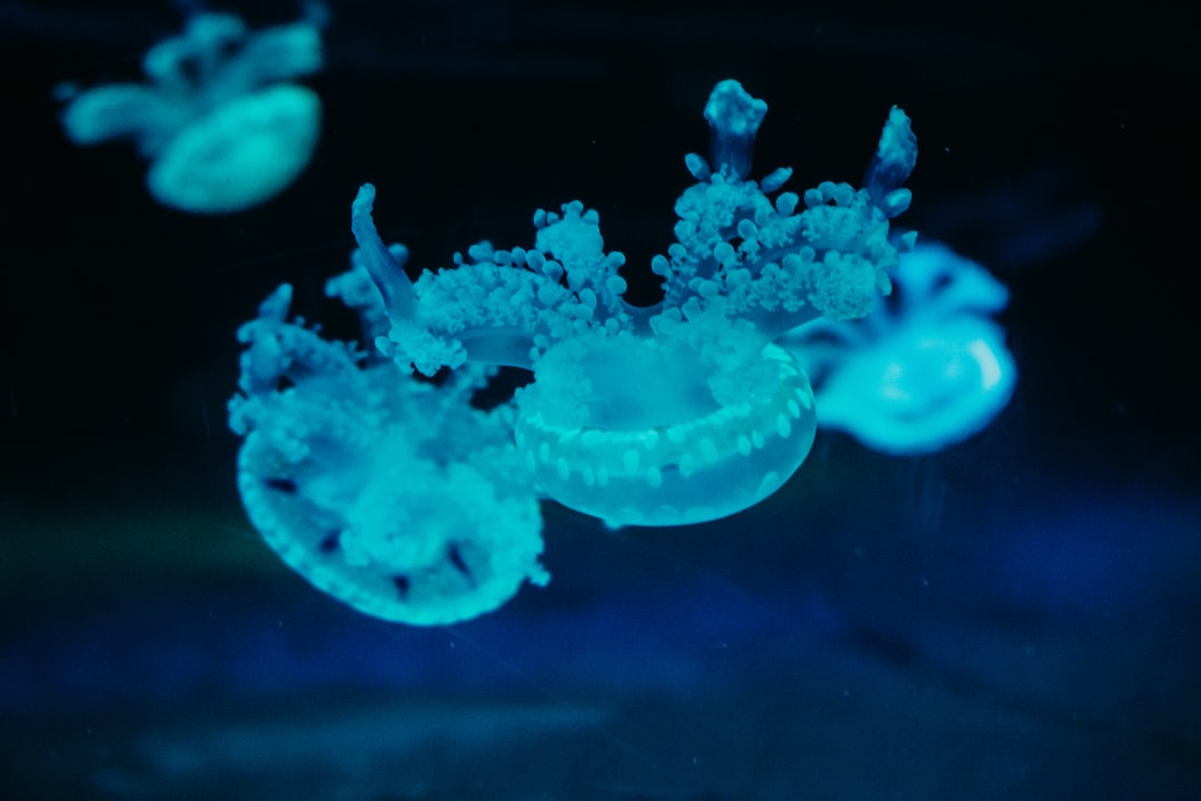 20 wichtige Fragen zu Marina Aquarium