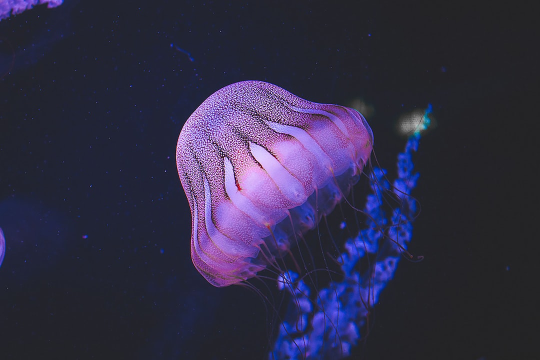 20 wichtige Fragen zu Aquarium Röhren