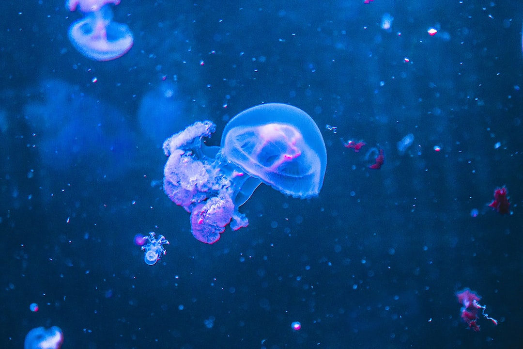 20 wichtige Fragen zu Wie Vermehren Sich Mooskugeln Im Aquarium?