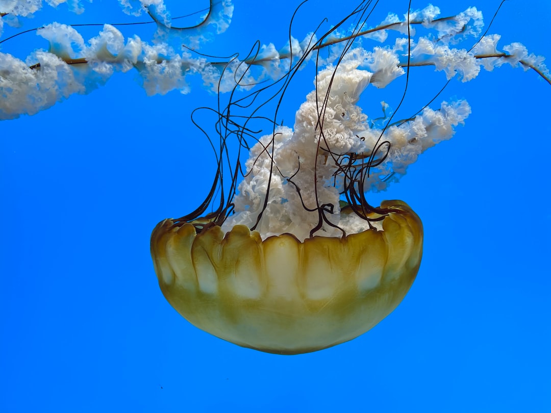 20 wichtige Fragen zu Leuchtbalken Aquarium